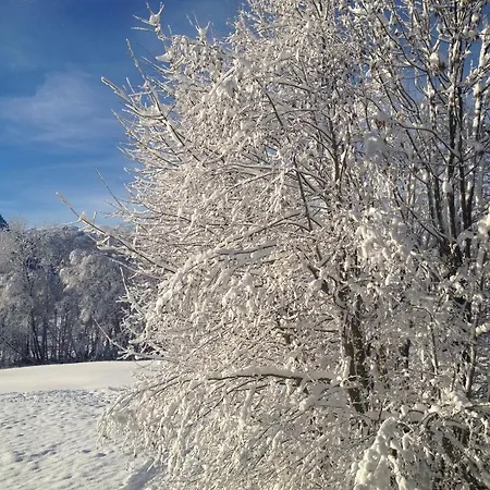 A Place 2 Be, Centre * Megève