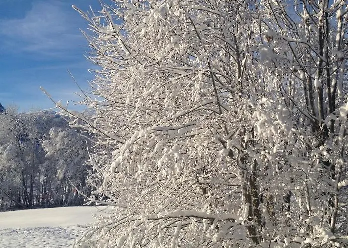 A Place 2 Be, Centre * Megève